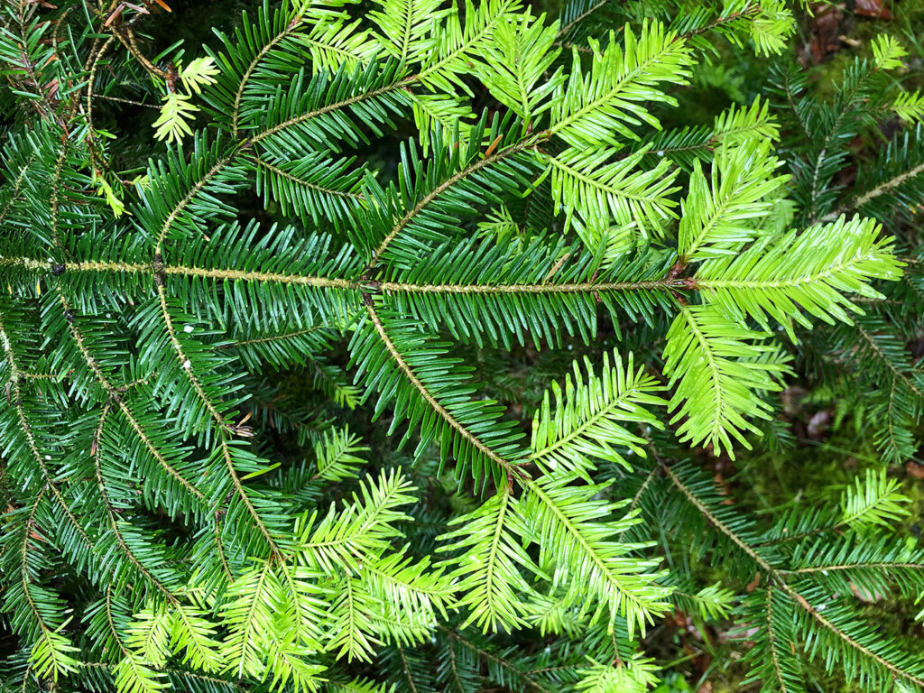 Natur_2020-05-14 10.48.32_quer